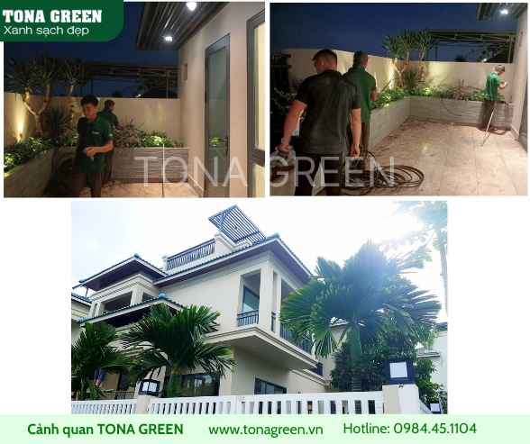 Image Frame