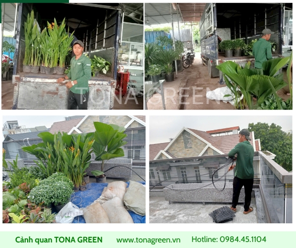 Image Frame