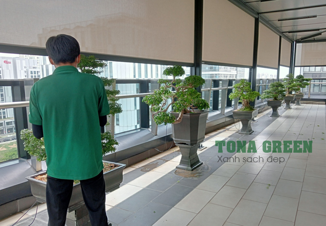 Image Frame