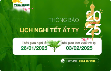 tonagreen-xin-thong-bao-lich-nghi-tet-2025
