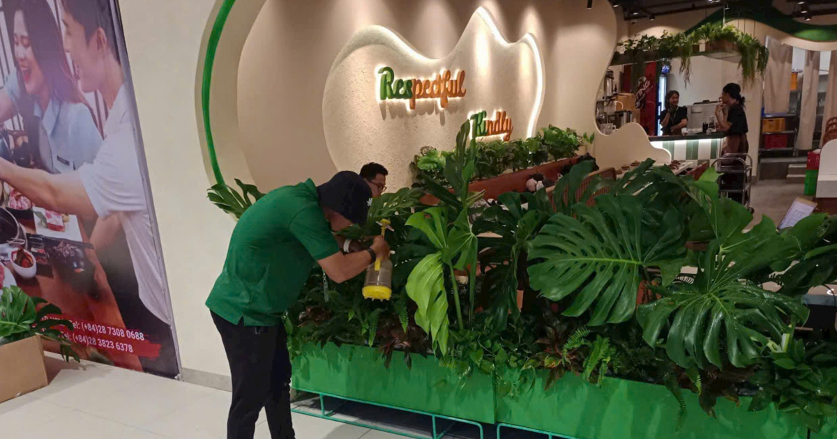 Vì sao chọn dịch vụ cho thuê cây xanh văn phòng của TONA GREEN ?
