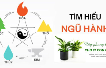 menh-phong-thuy-va-ung-dung-trong-canh-quan-va-cay-xanh