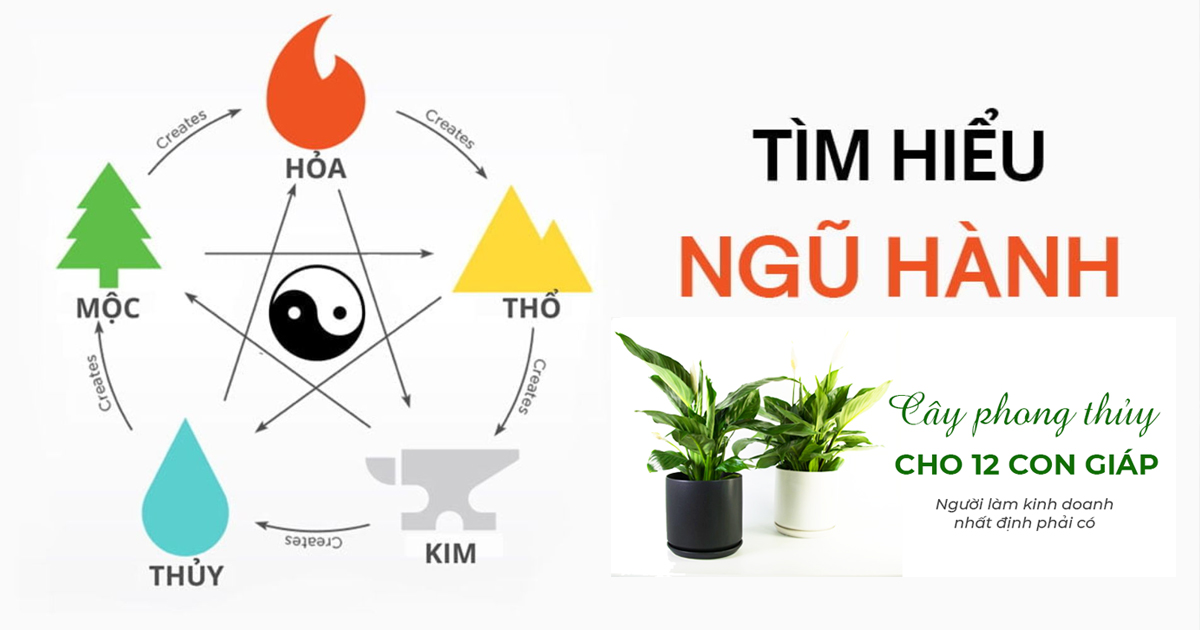 Mệnh Phong Thủy và ứng dụng trong cảnh quan và cây xanh