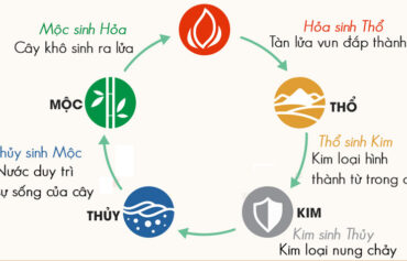huong-dan-cach-tinh-menh-trong-ngu-hanh-de-chon-cay-phu-hop