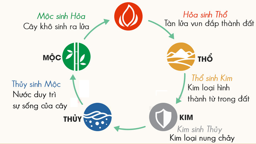Hướng dẫn cách tính mệnh trong Ngũ Hành để chọn cây phù hợp