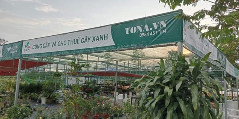 Vườn Mai và Bonsai TonaGreen