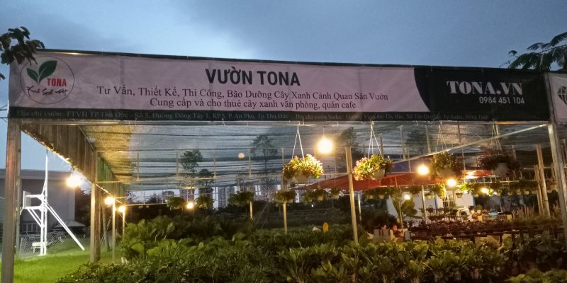 Chăm sóc cây cảnh quan TonaGreen