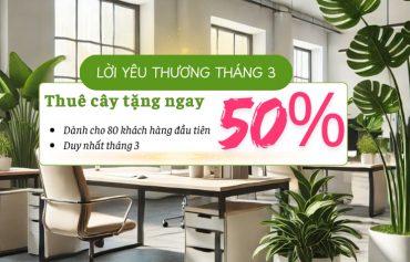 thue-cay-xanh-van-phong-giam-ngay-50-thang-03