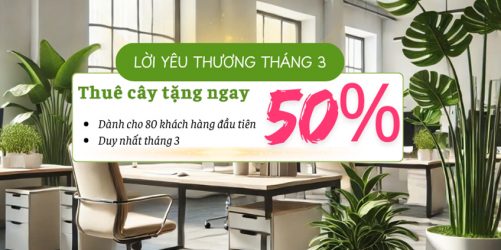 thue-cay-xanh-van-phong-giam-ngay-50-thang-03