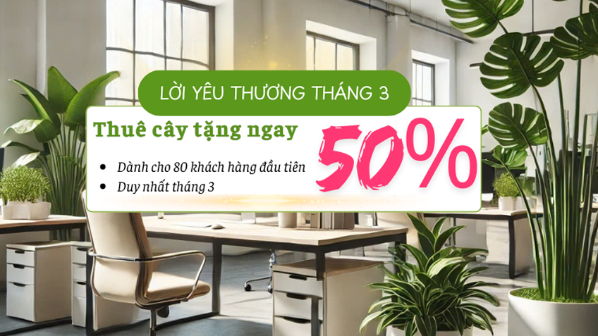 Thuê cây xanh văn phòng giảm ngay 50% tháng 03