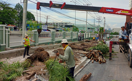 Dự án cảnh quan sân vườn hiện đại