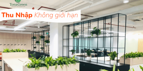 tuyen-ctv-kinh-doanh-dich-vu-cho-thue-cay-xanh-van-phong-tai-tp-hcm