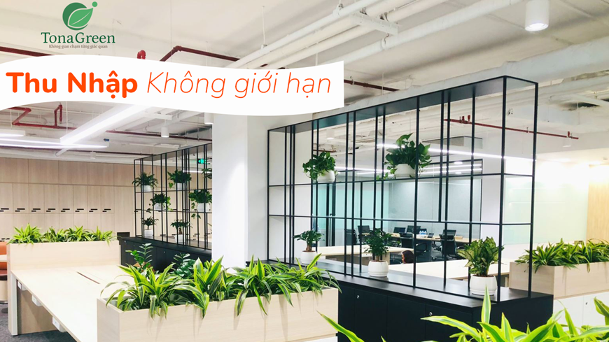 Tuyển CTV kinh doanh dịch vụ cho thuê cây xanh văn phòng tại TP.HCM